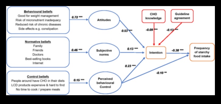 The Balancing Act of Carbohydrates Ένας οδηγός για τη βέλτιστη ευεξία 3 Balancing Act: Υδατάνθρακες Απαραίτητες για Βέλτιστη Ευεξία