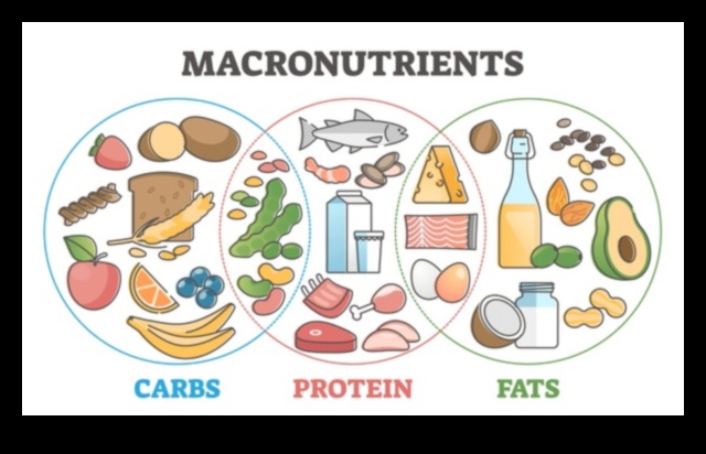 Η Διατροφική Παλέτα Μια Ισορροπημένη Προσέγγιση για Υγιεινή Ζωή 3 The Nutrition Palette: Crafting Success μέσω της Συμβουλευτικής Ειδικών