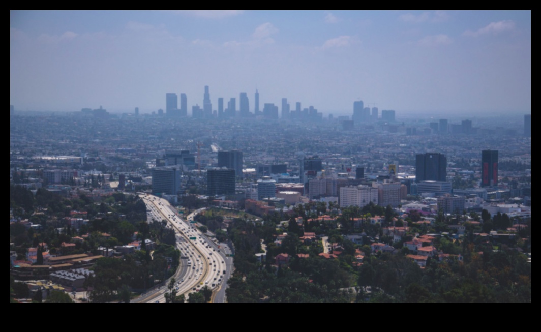 Συνδέσεις αστικού τοπίου: οικοδόμηση κοινοτήτων μέσω της κοινής εμπειρίας της δημόσιας συγκοινωνίας