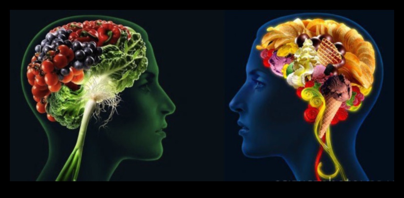 Οι δομικοί λίθοι της υγείας θρέφουν το σώμα σας με μικροθρεπτικά συστατικά 5 Δομικά στοιχεία της υγείας: Θρέψτε το σώμα σας με μικροθρεπτικά συστατικά