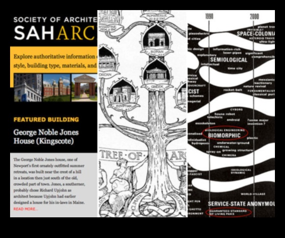 The Digital Architect: Building Foundations for Algorithmic Triumph