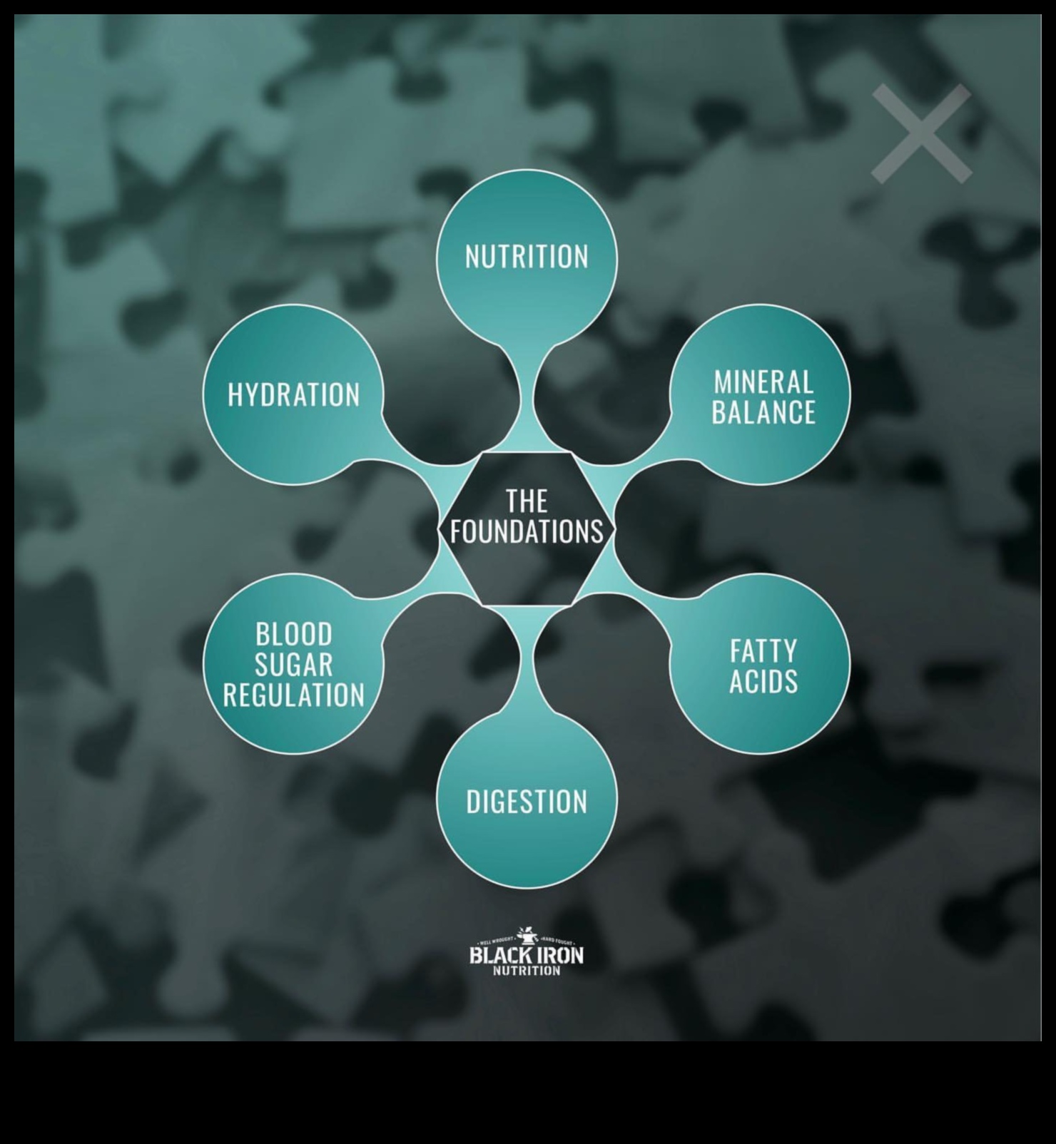 Nutrition 360: Μια ολοκληρωμένη προσέγγιση για την υγεία ολόκληρου του σώματος