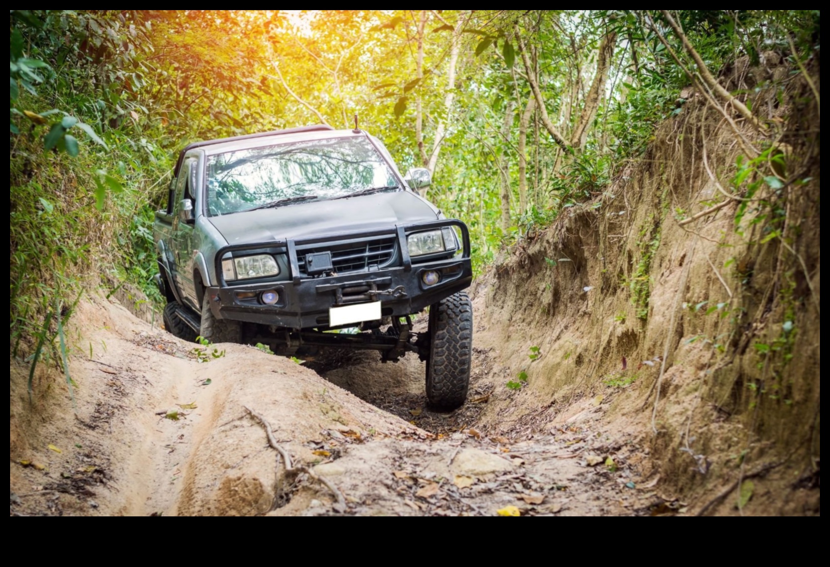 Dust, Dirt, and Determination: The Off-Road Enthusiast's Playground
