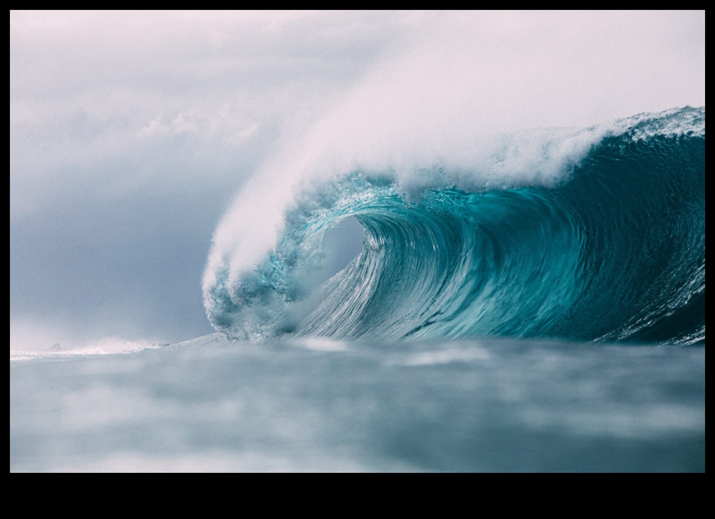 Viral Waves: Riding the Tsunami of Shareable Digital Phenomena