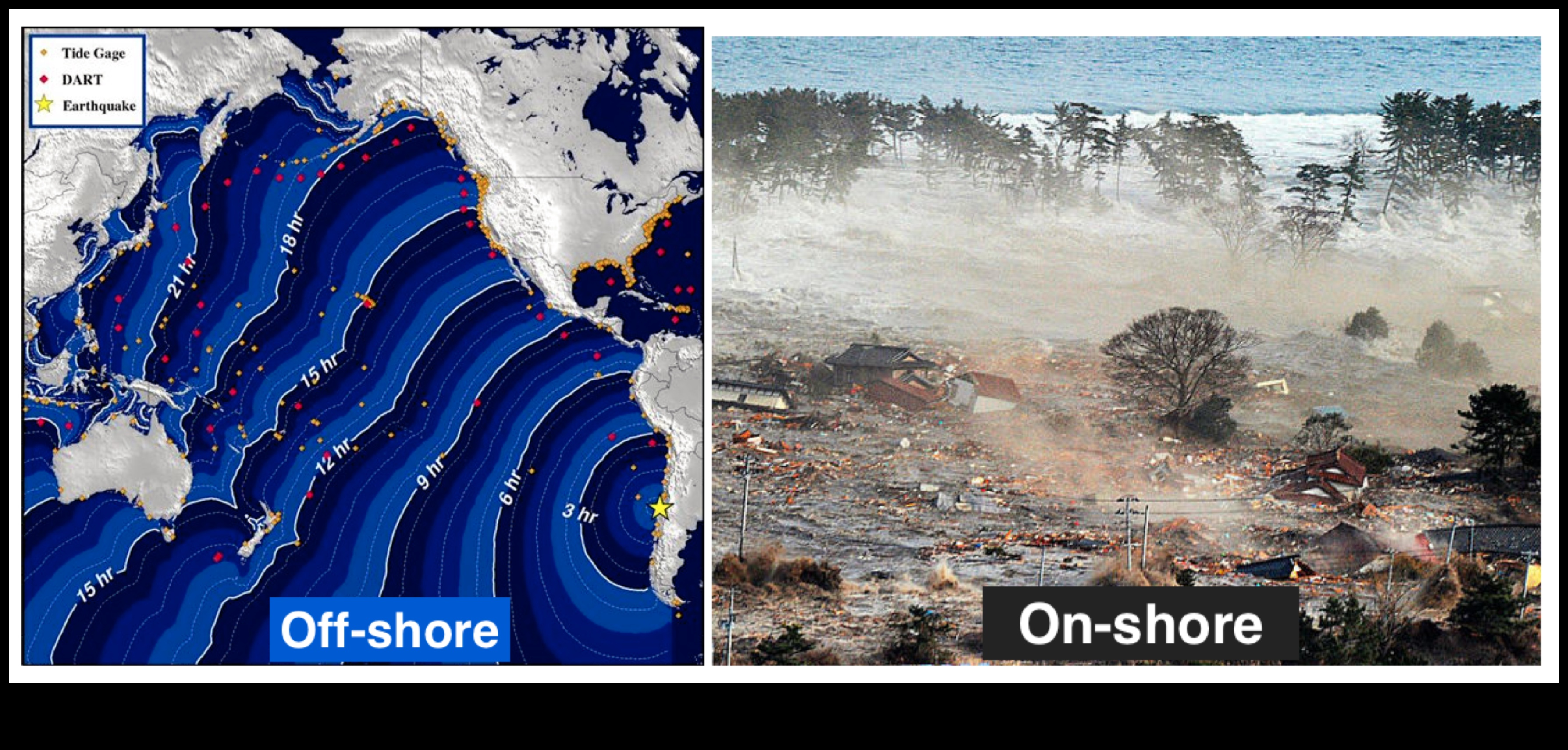 Viral Waves: Riding the Tsunami of Shareable Digital Phenomena