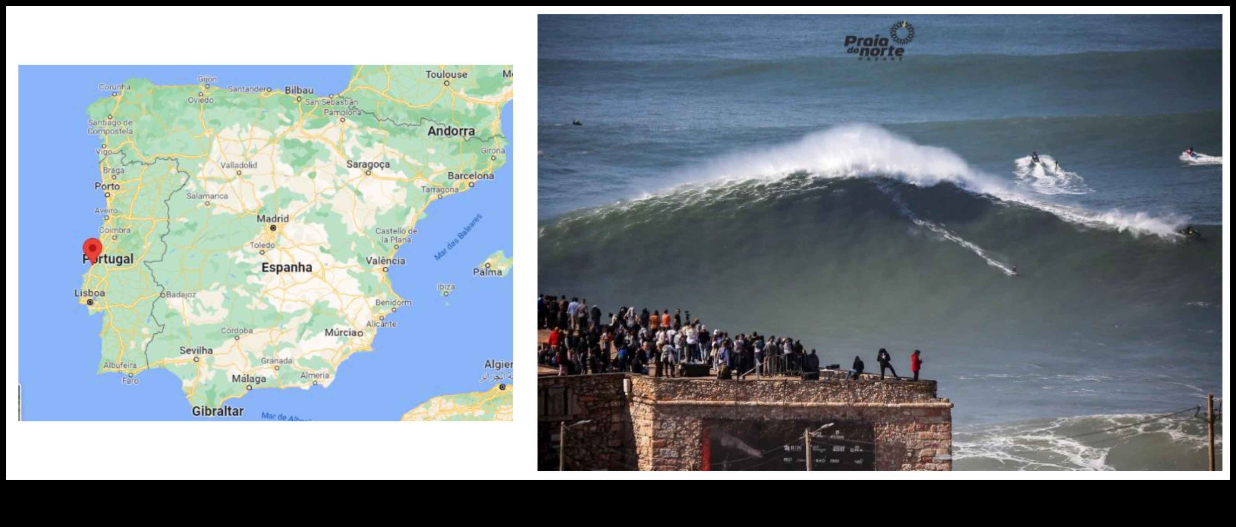 Viral Waves: Riding the Tsunami of Shareable Digital Phenomena