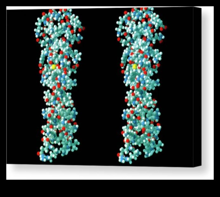 The Molecular Canvas Nutrition Biochemistry in a New Light 3 The Molecular Canvas: Painting a Portrait of Nutrition Biochemistry