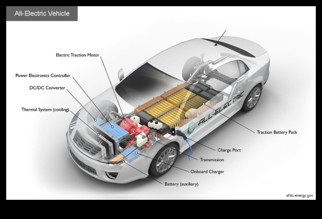 Τα ηλεκτρικά οχήματα Sustainable Journeys αποκτούν έλξη 2 Sustainable Journeys: The Growing Appeal of Electric Vehicles