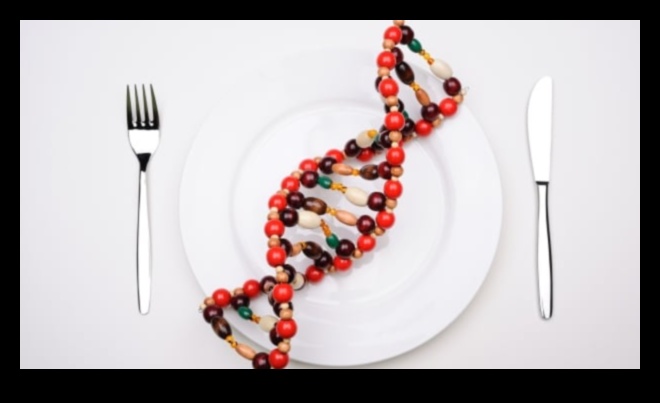 Η γενετική πλάκα προσαρμόζει τη διατροφή σας στο DNA σας 3 The Genetic Plate: Crafting Personalized Diets with Nutrigenomics