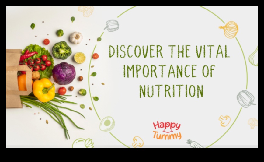 The Nourished Mind Ξεκλειδώνει το πλήρες δυναμικό σας με εξειδικευμένη διατροφική συμβουλευτική 5 The Nourished Mind: Ξεκλείδωμα Δυναμικού μέσω Συμβουλευτικής Διατροφής ειδικών