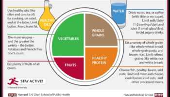 The Nutrition Palette: Crafting Success μέσω της Συμβουλευτικής Ειδικών
