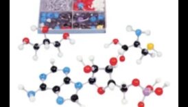 The Molecular Canvas: Painting a Portrait of Nutrition Biochemistry