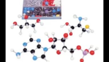 The Molecular Canvas: Painting a Portrait of Nutrition Biochemistry