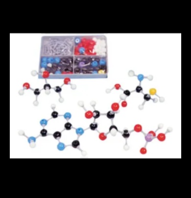 The Molecular Canvas Nutrition Biochemistry in a New Light 1 The Molecular Canvas: Painting a Portrait of Nutrition Biochemistry