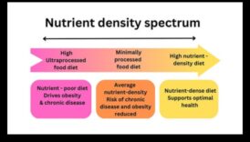 Το φάσμα των θρεπτικών συστατικών Μια βαθιά κατάδυση στη θρεπτική τιμή 1 The Nutrient Spectrum: Exploring the Depths of Nutrition Value